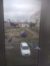 Максимова Дарья