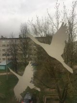 Шерешнина Ирина