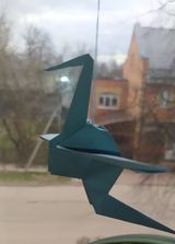 Чижова Полина