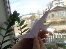 Тихомиров Дмитрий