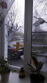 Голикова Настя
