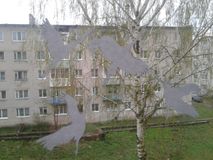 Чернивчан Анастасия