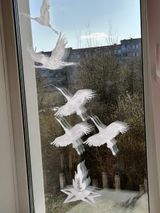 Голубкова Маргарита