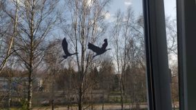 Сметанин М
