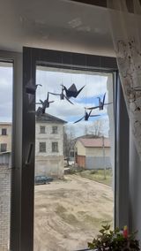 Черончина Елизавета