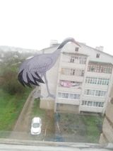 Читчян Л