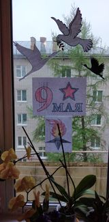 Микиев Ильяс