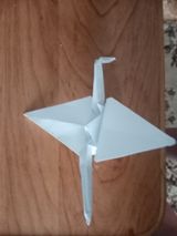 Новиков Илья