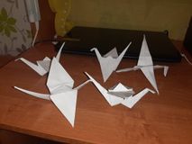 Комарова Ульяна