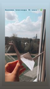 Калачева Александра