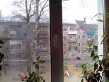 Смирнова Мария