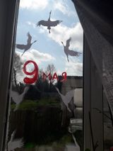 Хренкова Анастасия