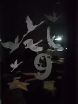 Котова София