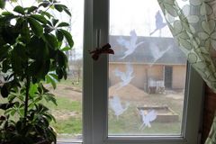 Румянцева В