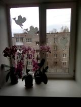 Хорьков Фёдор