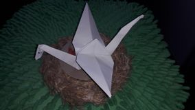 Кузнецов Е